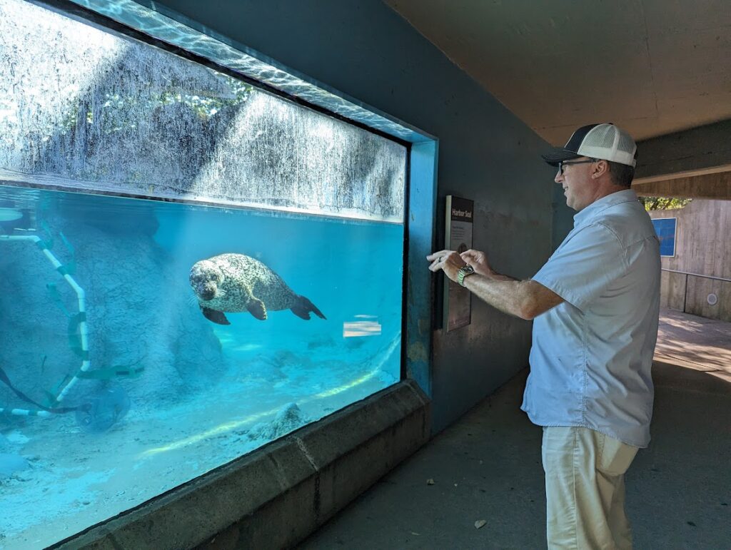 NC Zoo Day Date for our First Anniversary - Johnnie and Lisa